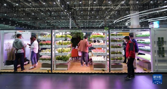 進(jìn)博會上看“集裝箱里種菜” 科技賦能農(nóng)業(yè)新變革