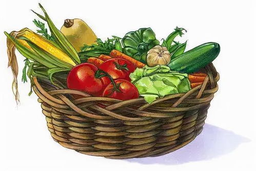 節(jié)前走訪菜市場 貨源充足價格穩(wěn)，新春苗木添綠意