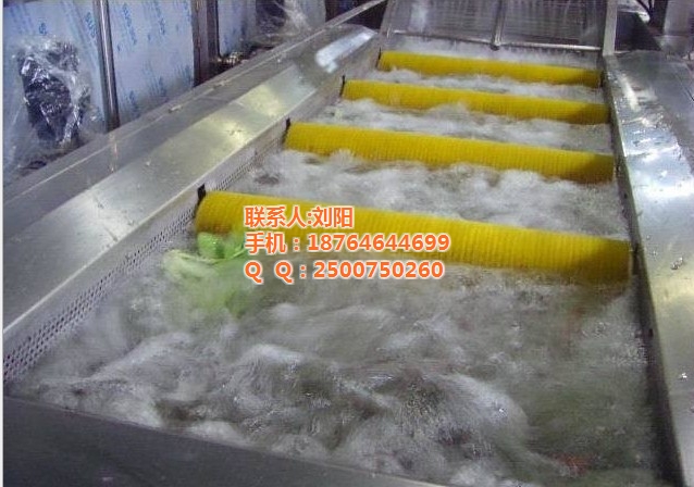 諸城匯康機械 深耕清洗設(shè)備領(lǐng)域，助力四川辣椒與獼猴桃產(chǎn)業(yè)提質(zhì)增效