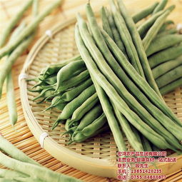 宏鴻農(nóng)產(chǎn)品集團 以專業(yè)配送引領(lǐng)有機蔬菜新風(fēng)尚