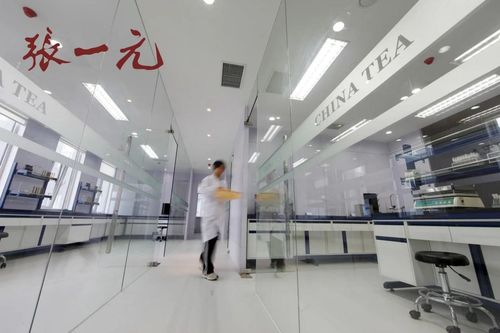 2024中國茶企品牌價值Top10風采展示 百年張一元榮登榜，現代琳龍物流展新篇